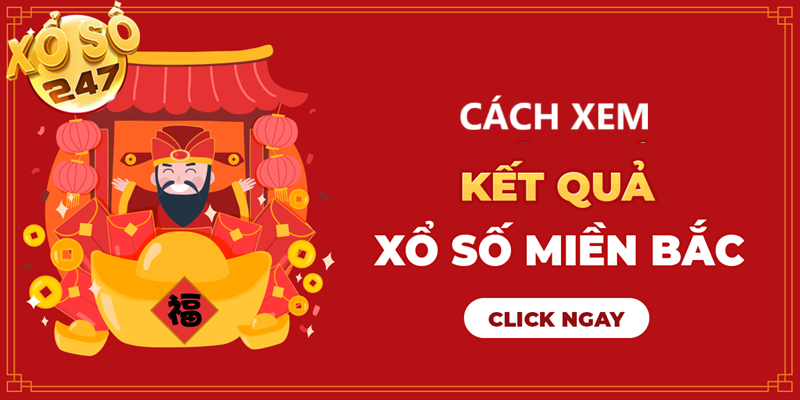 Cách xem kết quả