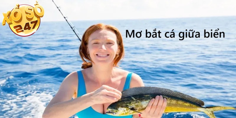 Mơ bắt cá ở giữa biển