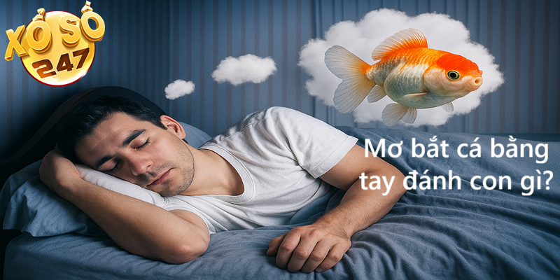 Mơ bắt cá bằng tay đánh con gì? Bí kíp từ chuyên gia