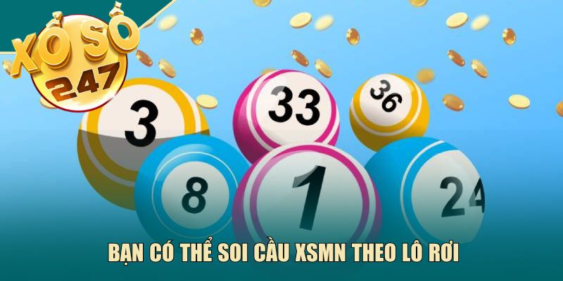 Bạn có thể soi cầu XSMN theo lô rơi